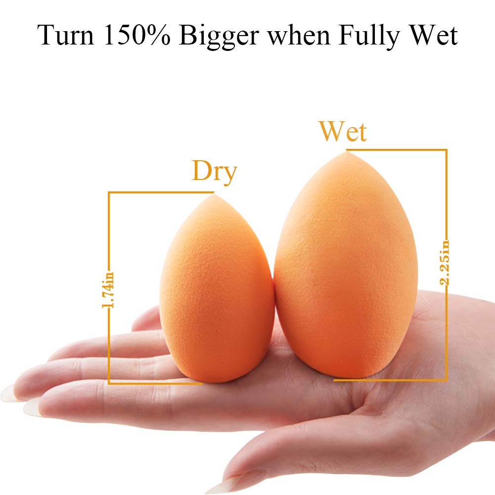 Makeup Sponge & Kabuki Brush Set 3PC
